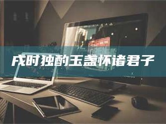 长兴戌时独酌玉盏怀诸君子