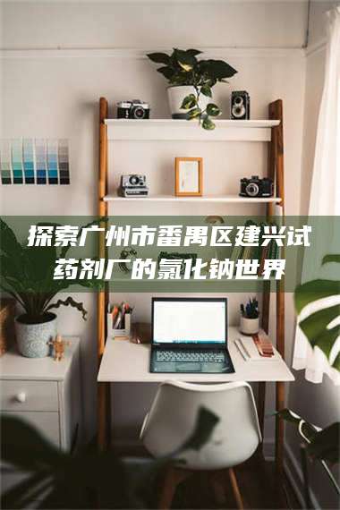 长兴探索广州市番禺区建兴试药剂厂的氯化钠世界 第1张